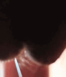 Milking machine, B&W Vintage Twinks 5e306f4d080cb.gif