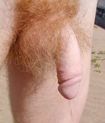 My Redhead collection of 10 years 5e30d0bd0b2fd.jpg