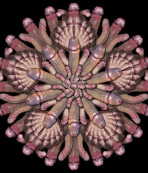 Semi-erotic cartoons & art 5e33100ce6d53.jpg