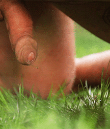 Random sex, unicorns, and Ewe 5e34ba03c710b.gif