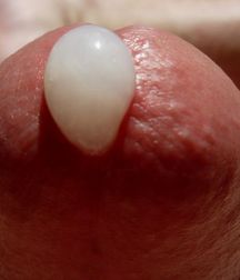 Cum as a food stuff 5e600911e4599.jpg