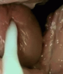 Cum and Fucking Twinks Gay Porn 5eefaa6d7a195.gif