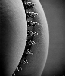 Fun pics from the Net 5eefb7b5526b4.jpg