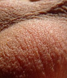 Fun pics from the Net 5eefb8309e459.jpg