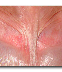 Fun pics from the Net 5eefb9a063573.jpg