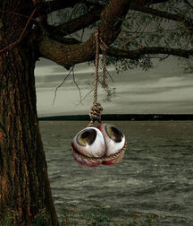 Fun pics from the Net 5eefb9e04c882.jpg