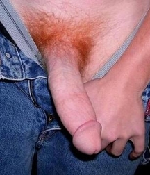 A few of my favorite Gingers 5ef0cca2bee0e.jpg