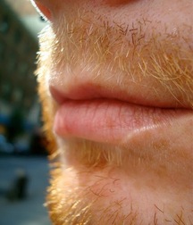 A few of my favorite Gingers 5ef0ce2274f6f.jpg