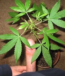 Sex, Drugs and Rock n Roll 5ef0da5d0ef59.jpg