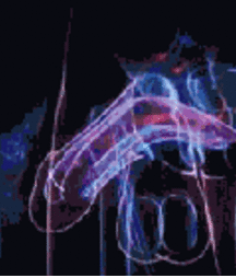 Signs of our Times 5ef0e22bde6a2.gif