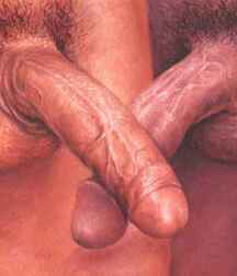 Guys and Their Dicks...a love story 5ef13ee16fbc4.jpg
