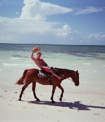 Beach Boys Porn and the Beach 5ef269385f5b0.jpg