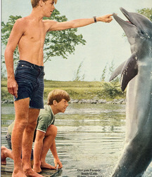 Beach Boys Porn and the Beach 5ef269836de27.jpg