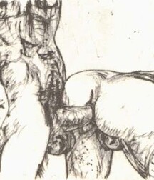 Sex as art, sex in art, art as porn 5ef3866dadefa.jpg