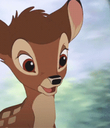 Gay Tube Something for everyone 5ef39d0dc9692.gif