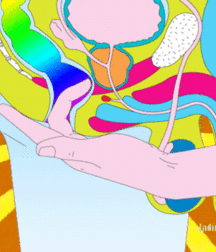 Fear and Loathing in Florida Boys Porn 5ef4bf150b958.gif