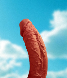 Fear and Loathing in Florida Boys Porn 5ef4bf3499689.jpg