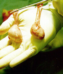 Fear and Loathing in Florida Boys Porn 5ef4c0684ae52.jpg
