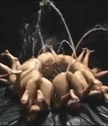 Oddities and Strange Happenings Porn 5f036d91a79df.gif