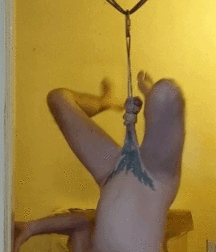 Oddities and Strange Happenings Porn 5f036da362ebb.gif
