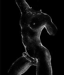 Art & Photos by Ruslahka, Russian Porn 5f11ebef48fd2.jpg