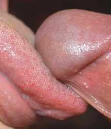 Man's Best Friend Close Up, Porn 5f138cd3a373f.jpg