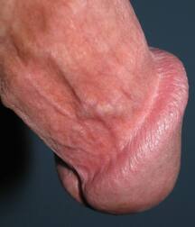 Man's Best Friend Close Up, Porn 5f138dad80ec8.jpg