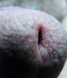 Man's Best Friend Close Up, Porn 5f138dbe8fb57.jpg