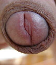 Man's Best Friend Close Up, Porn 5f138dc4b3ecc.jpg