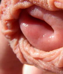 Man's Best Friend Close Up, Porn 5f138eb7c83d8.jpg