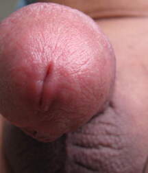 Man's Best Friend Close Up, Porn 5f138ec689e4c.jpg