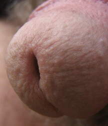 Man's Best Friend Close Up, Porn 5f138ecdd7965.jpg