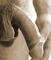 Man's Best Friend Close Up, Porn 5f138ee1612af.jpg