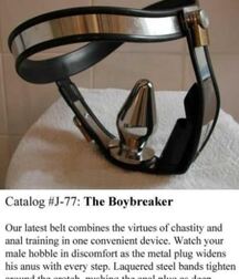 Boys and Their Toyz, porn 5f1856bd2a73f.jpg