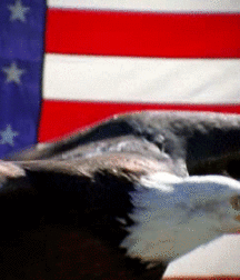 More  5f1c85da3e5dd.gif
