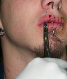 Sex is Art, Art is Sex, porn 5f1dd84031ecf.jpg