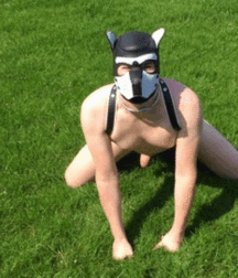 Dog Boys and Puppy Play plus art, Porn 5f20744131972.gif