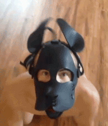 Dog Boys and Puppy Play plus art, Porn 5f20745fdf66f.gif