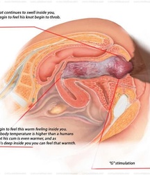 Dog Boys and Puppy Play plus art, Porn 5f20748e2fb12.jpg