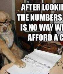 Dog Boys and Puppy Play plus art, Porn 5f2074c3bf00e.jpg