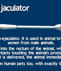 I love E-Stimming my Dick, Boys Porn 5f219827440f4.jpg