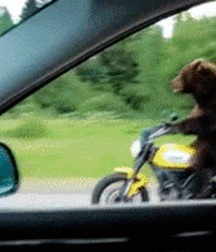 Random Cute Guys on the Net, Boys Porn 5f242a0f88f2f.gif