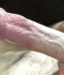 Real Penises on Real Guys, Porn 5f281e0c314a7.jpeg