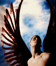 Sex, Wings and Flying Things, Porn