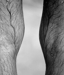 Guys with Hairy Legs, Boys Porn 5f32cdaa68003.jpg