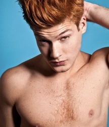 Leons friends redheads 5c589dcd56197.jpeg