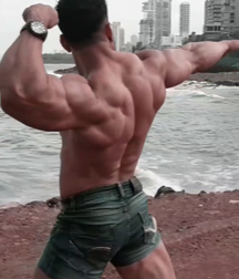 Muscle Boys 2 5ca8904041377.jpeg