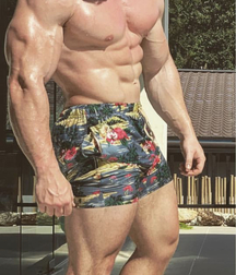 Muscle Boys 2 5ca890480e445.jpeg