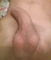 novinho 5cacfbb7ef349.jpg