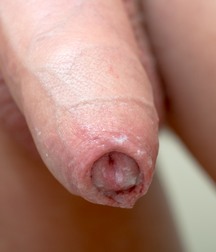 Uploaded by:Ben25 5d34a25cbacf5.jpg
